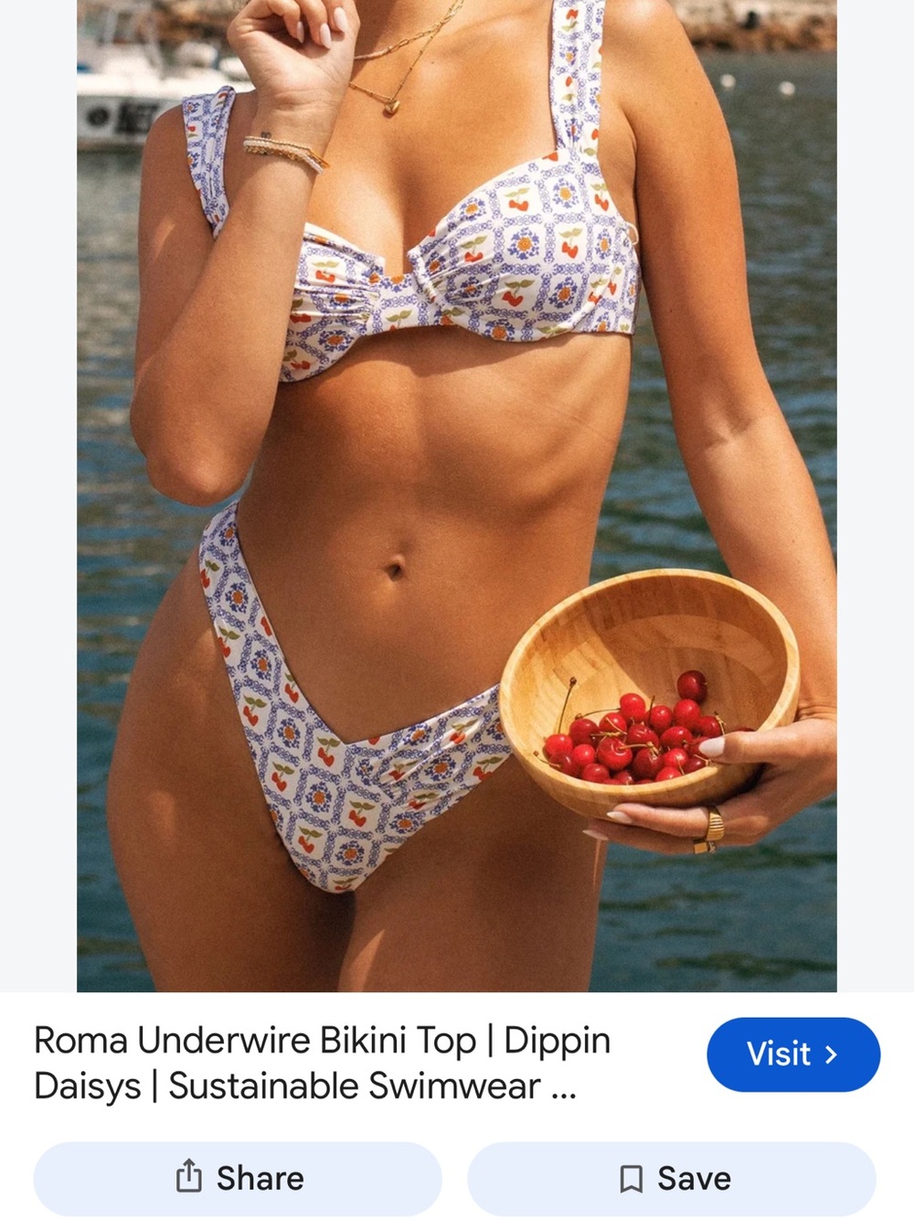 Dippin daisy’s Roma Top and Bottom bikini set in Palermo Women’s